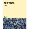 Flos Morszczyn 50G