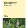 Flos Rutwica Ziele 50G