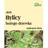 Flos Bylica Bożego Drzewka 50G