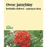 Flos Jarzębina Owoc 50G