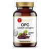 Yango Opc Ekstrakt Z Pestek Winogron 300 Mg 90
