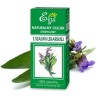 Etja Olejek Z Szałwii Lekarskiej 10Ml