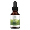 Swanson Ginkgo Biloba Liquid 29,6 Ml