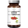 Soul Farm Premium Guarana Ekstrakt 500 mg 60 k