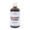 Invent Farm Gastro Farm 100 ml