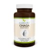 Medverita Chaga Ekstrakt 60 k