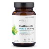 Aura Herbals Maślan Sodu Forte 1200 mg 60 k