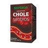 Sanbios Cholesanbios 60 kap