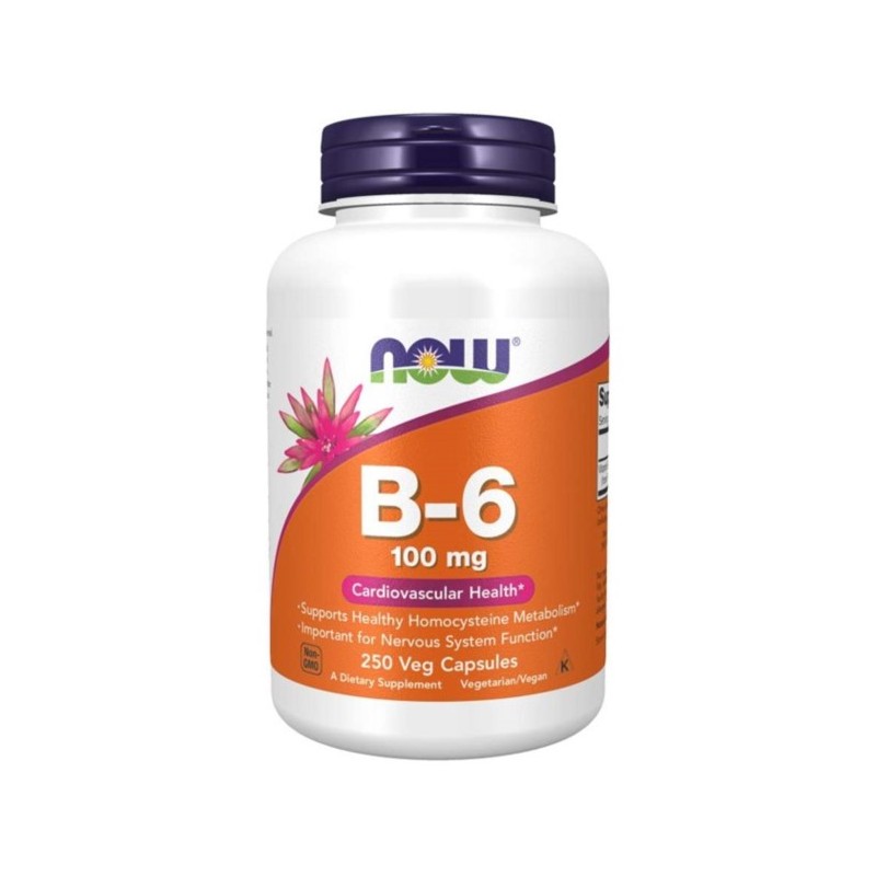 Now Foods Witamina B 6 250 kap