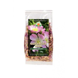 Natura Wita Dzika Róża Płatki susz 50G